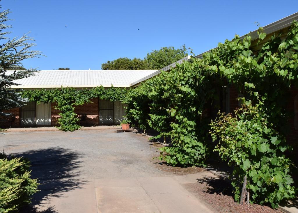 Roundhouse Motel Peterborough Δωμάτιο φωτογραφία